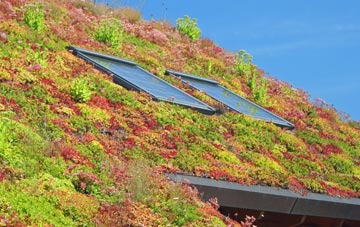 Lower Chicksgrove living roof systems
