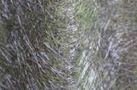 Lower Chicksgrove fibreglass roof work